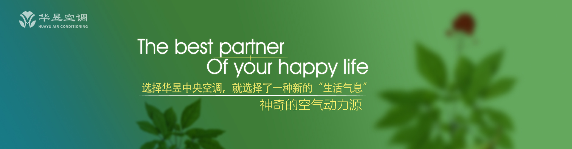 广寒仙子网